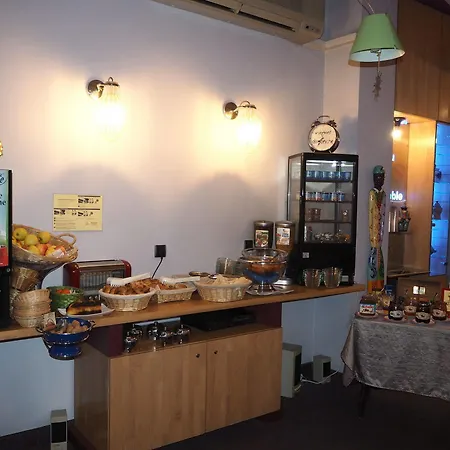 Splendid Centre Gare מלון גרנובל