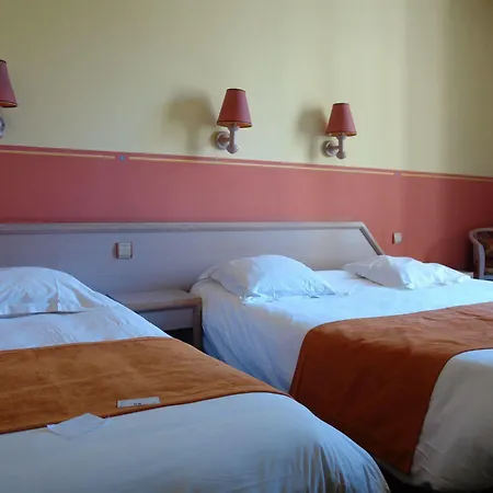 Splendid Centre Gare 3* גרנובל