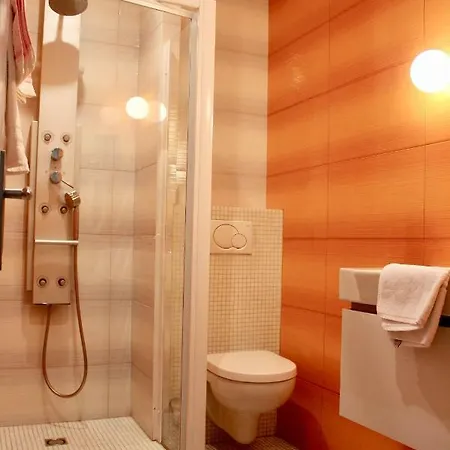 Splendid Centre Gare 3* גרנובל